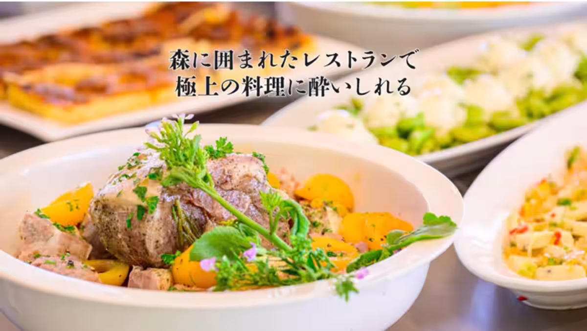 画像14