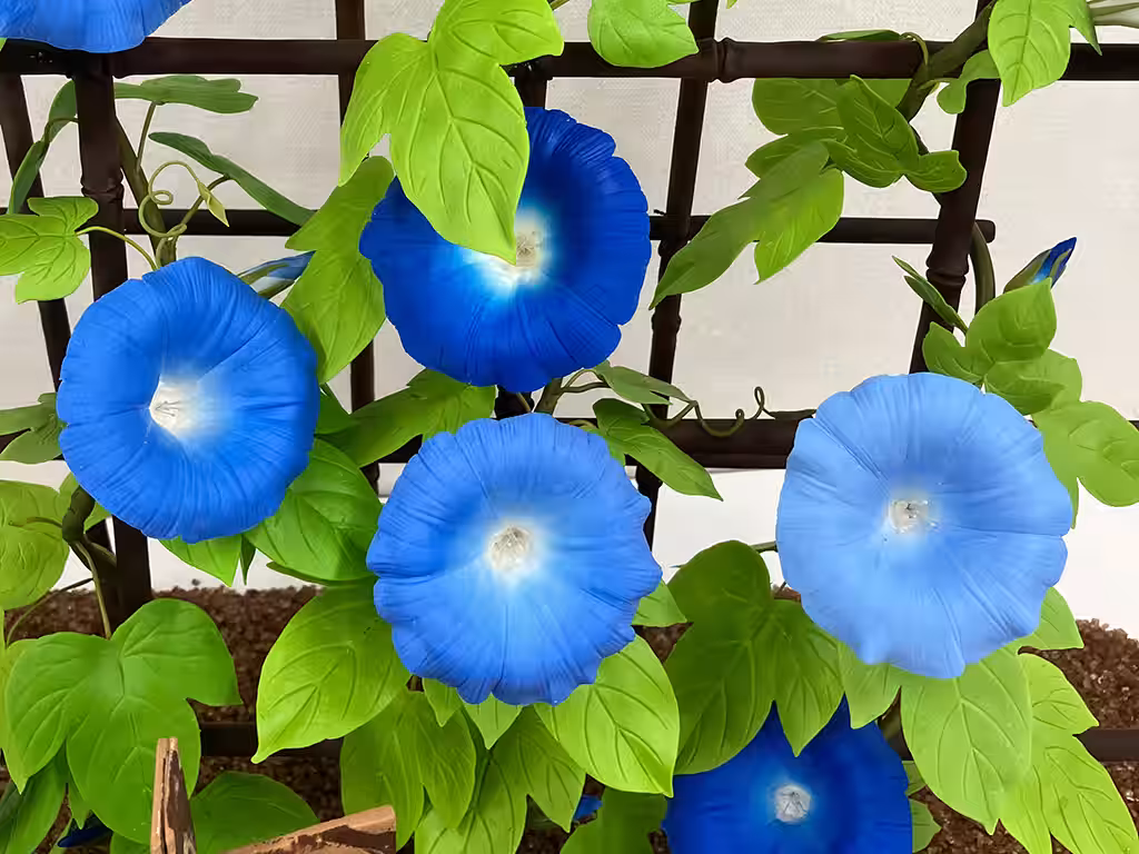 画像8