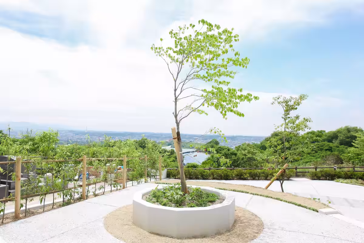 画像8