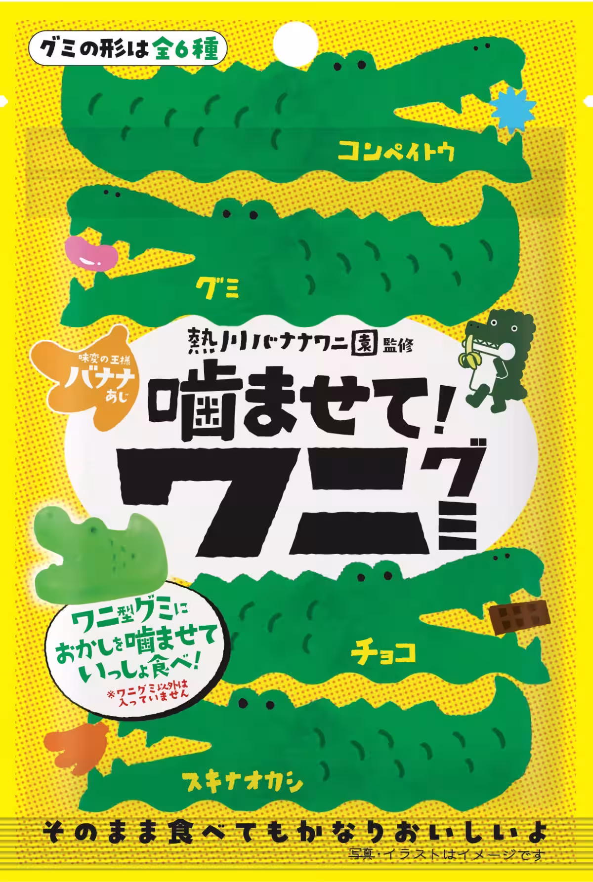 画像7