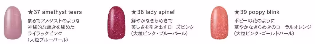 画像17