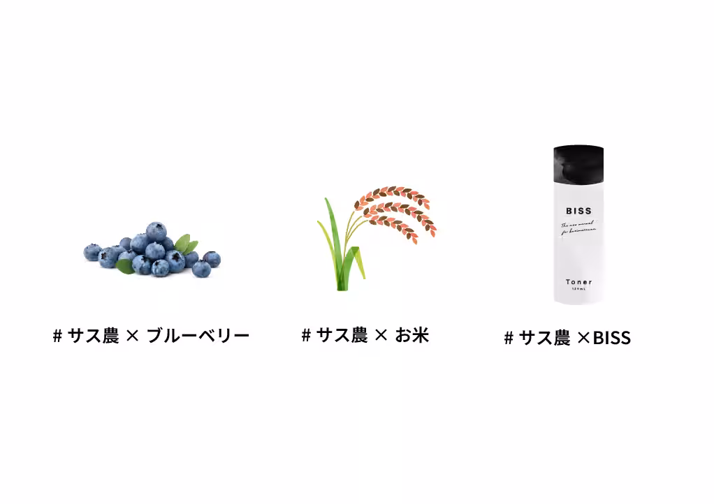 画像16