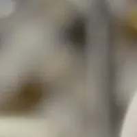 アップサイクルハンドソープ