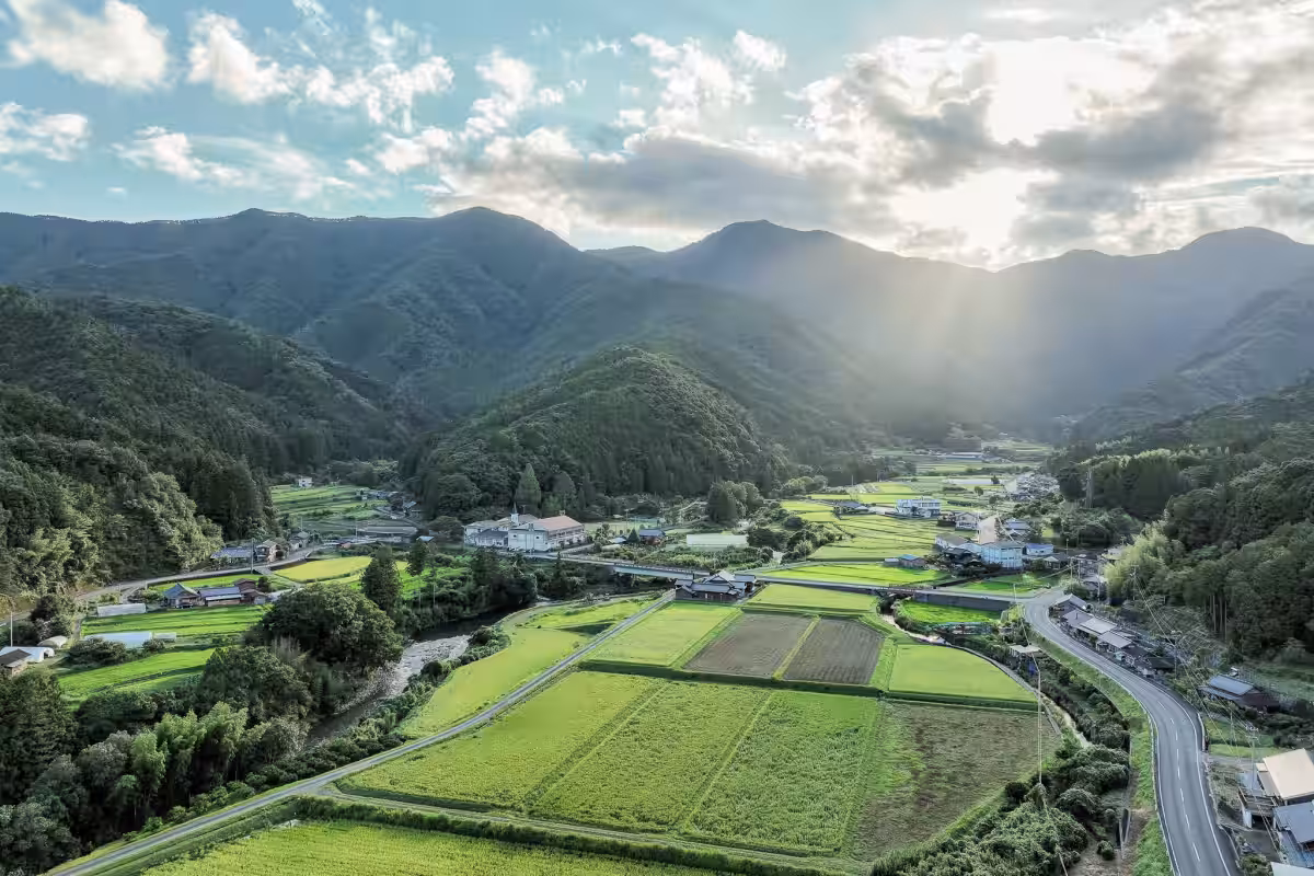 画像4