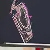 新プロセッサの魅力