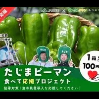 たじまピーマン応援
