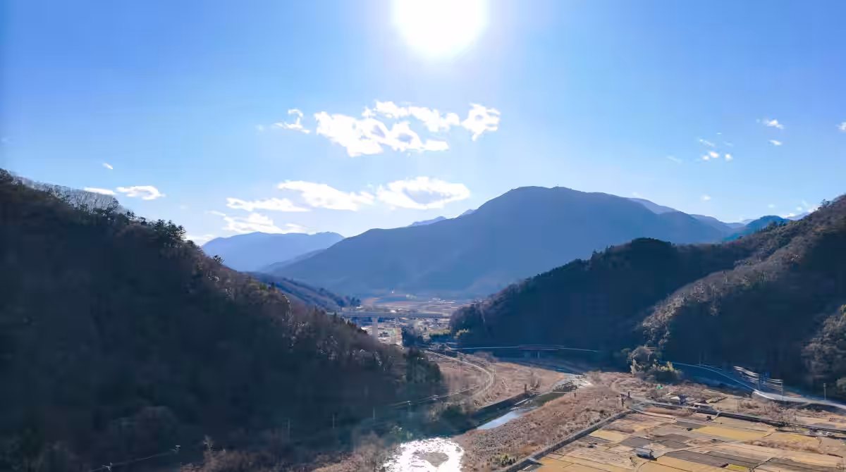 画像7