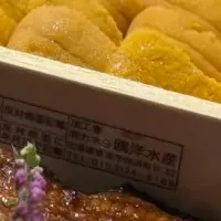 国産鰻と生雲丹