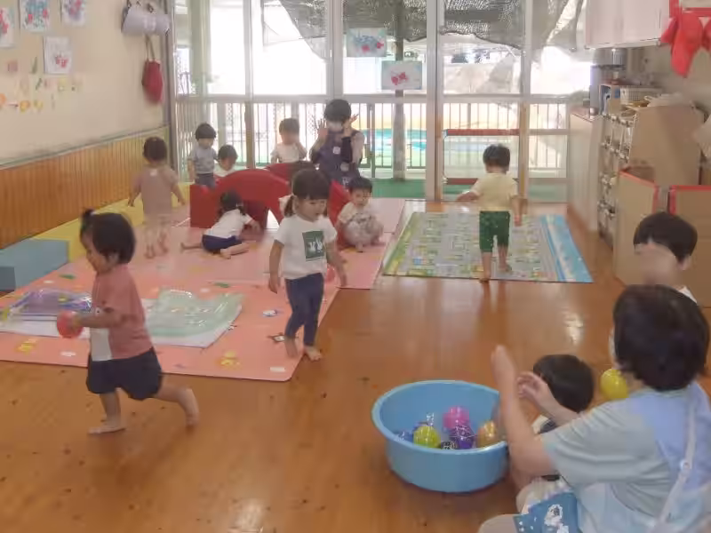 画像5