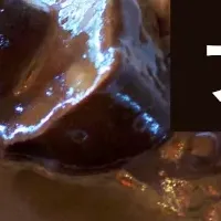 カフェカレー再ブレイク