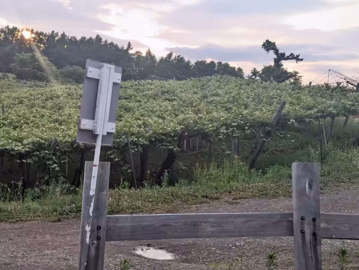 画像17