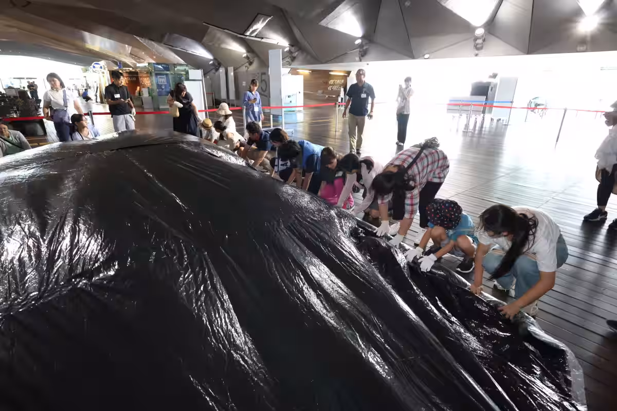 画像6