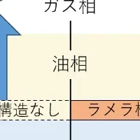 マーガリンの香り研究成果