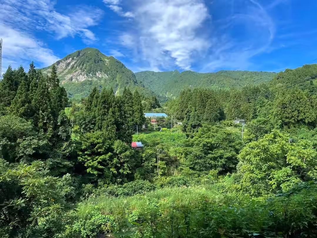 画像9