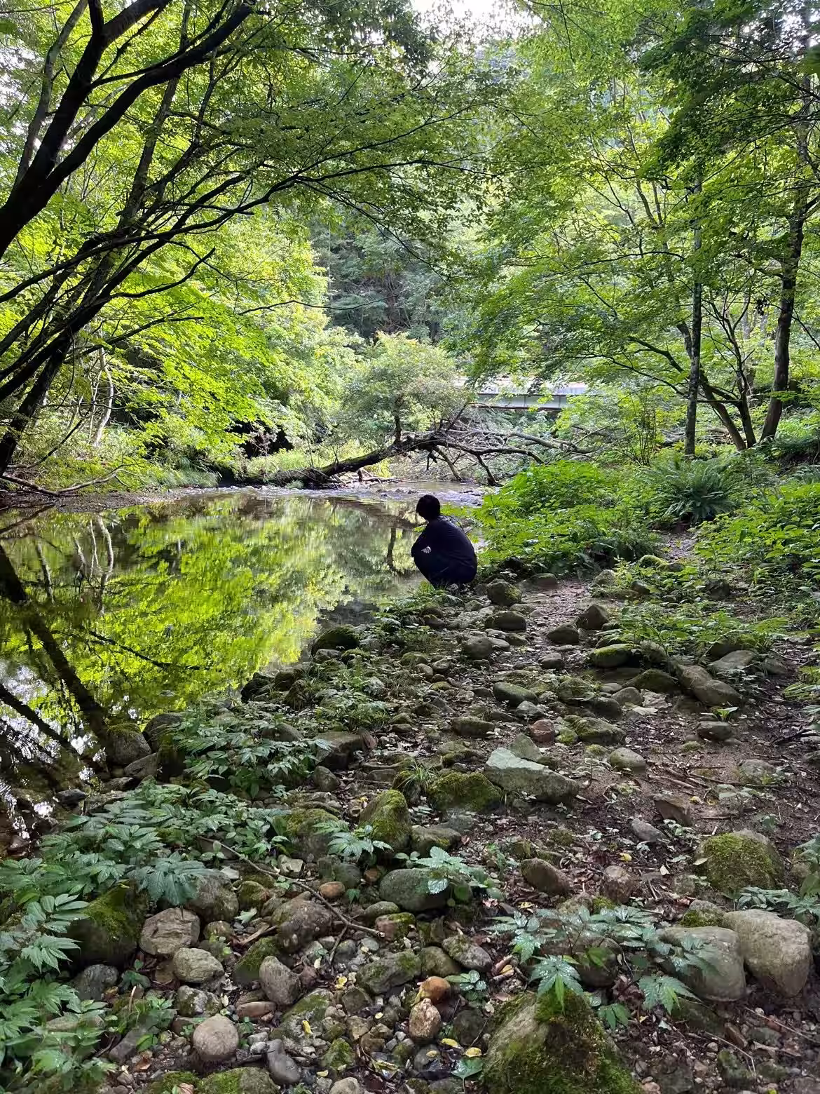 画像7