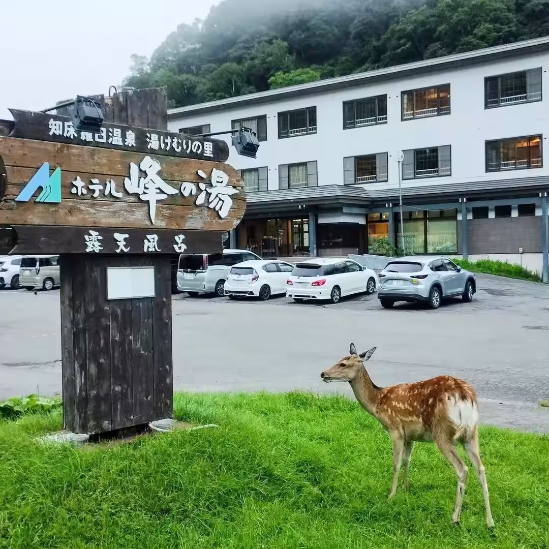 画像8