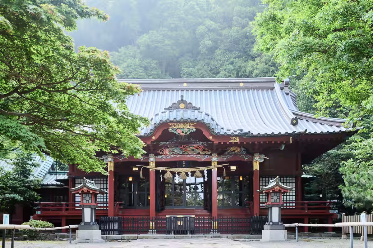 画像5