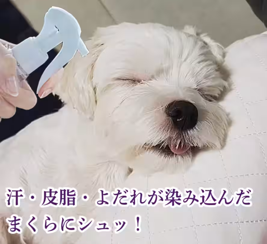 画像19