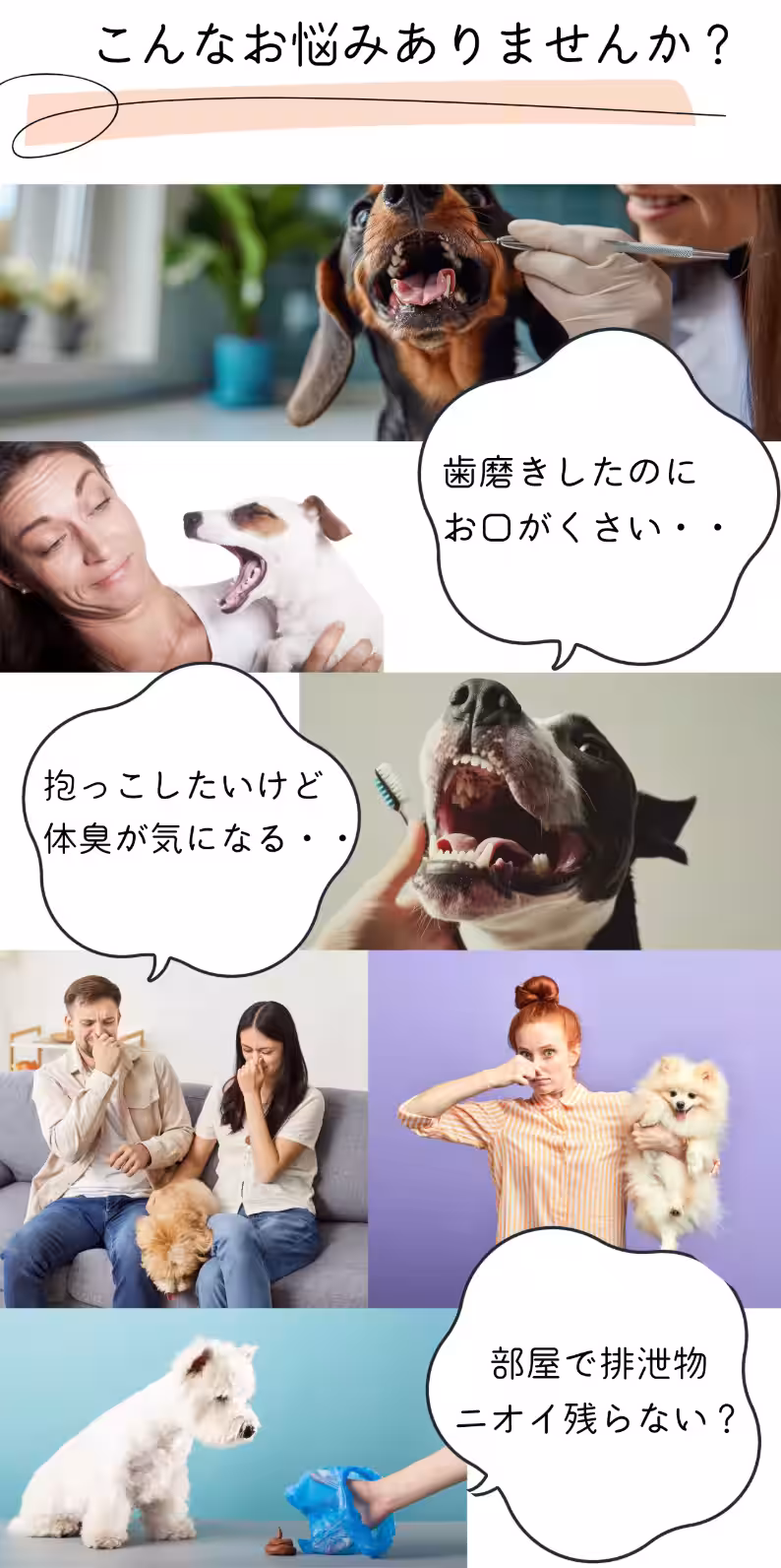 画像16