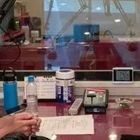 インターンシップのリアル