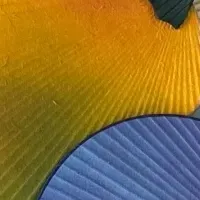 京うちわの魅力