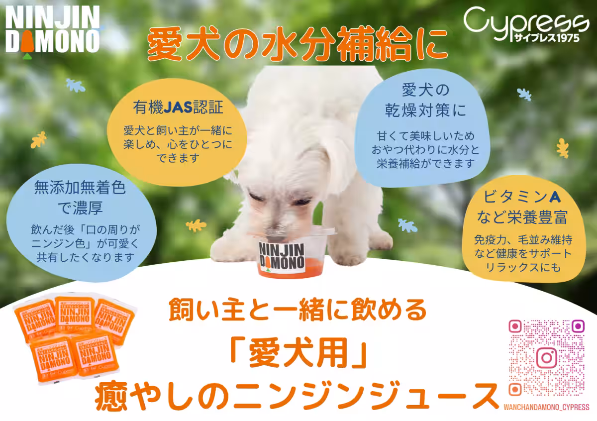 画像22