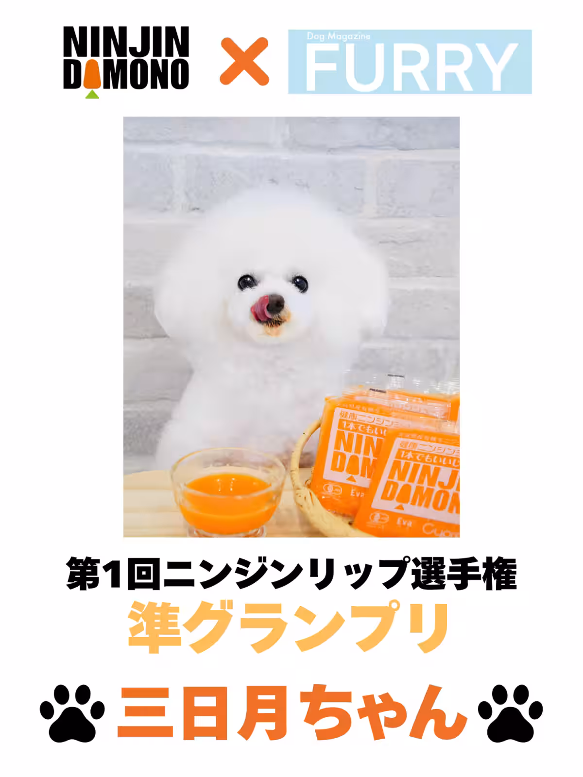画像28