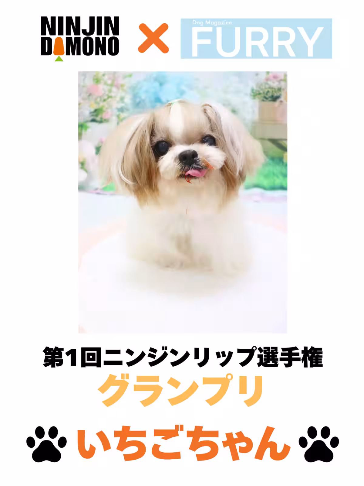 画像29
