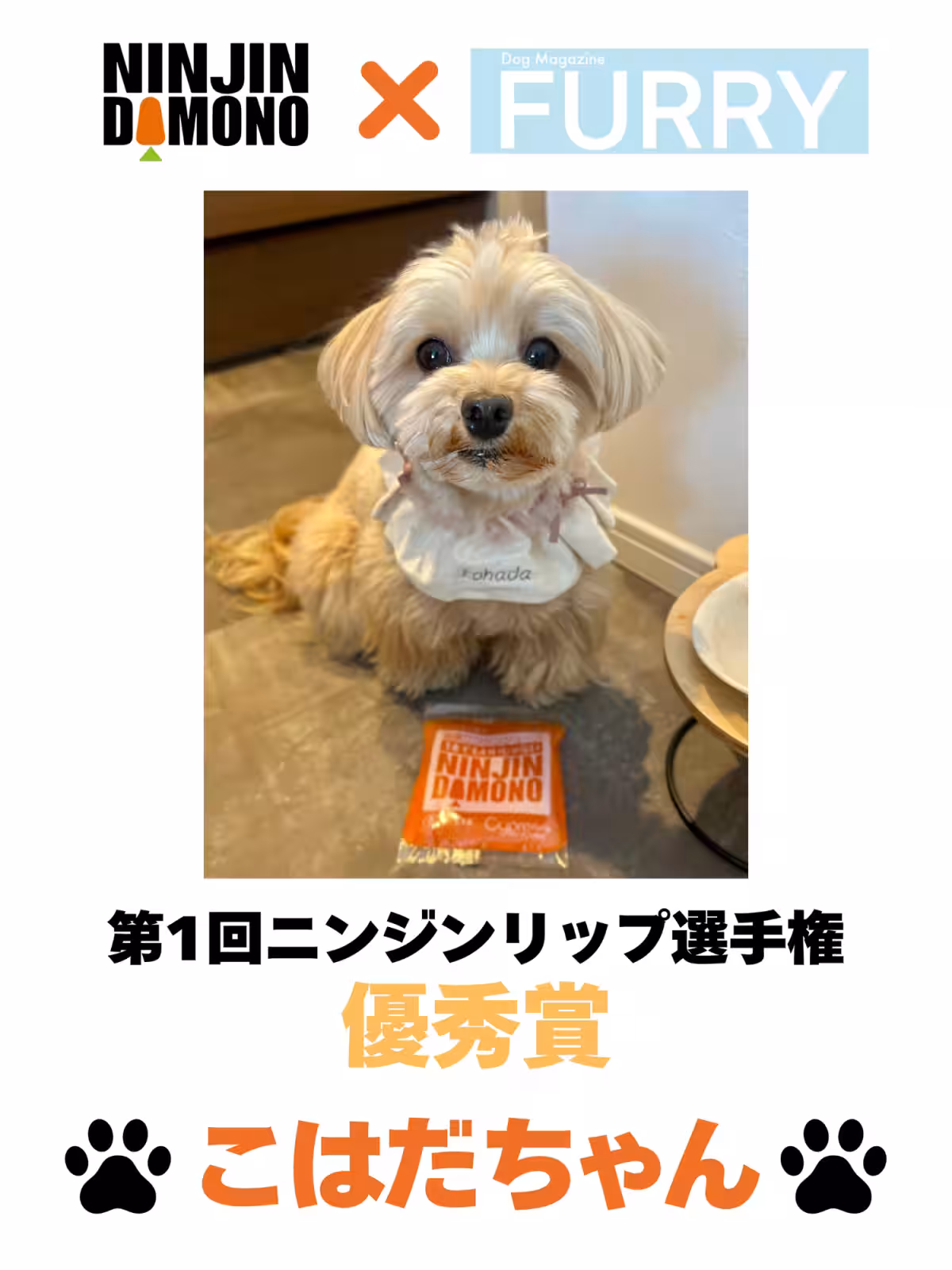 画像30