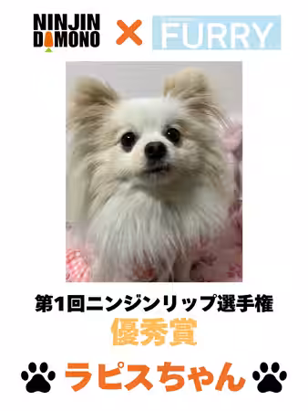 画像26