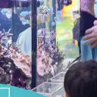 大阪万博のサンゴ研究