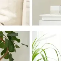 耳かけリフティング