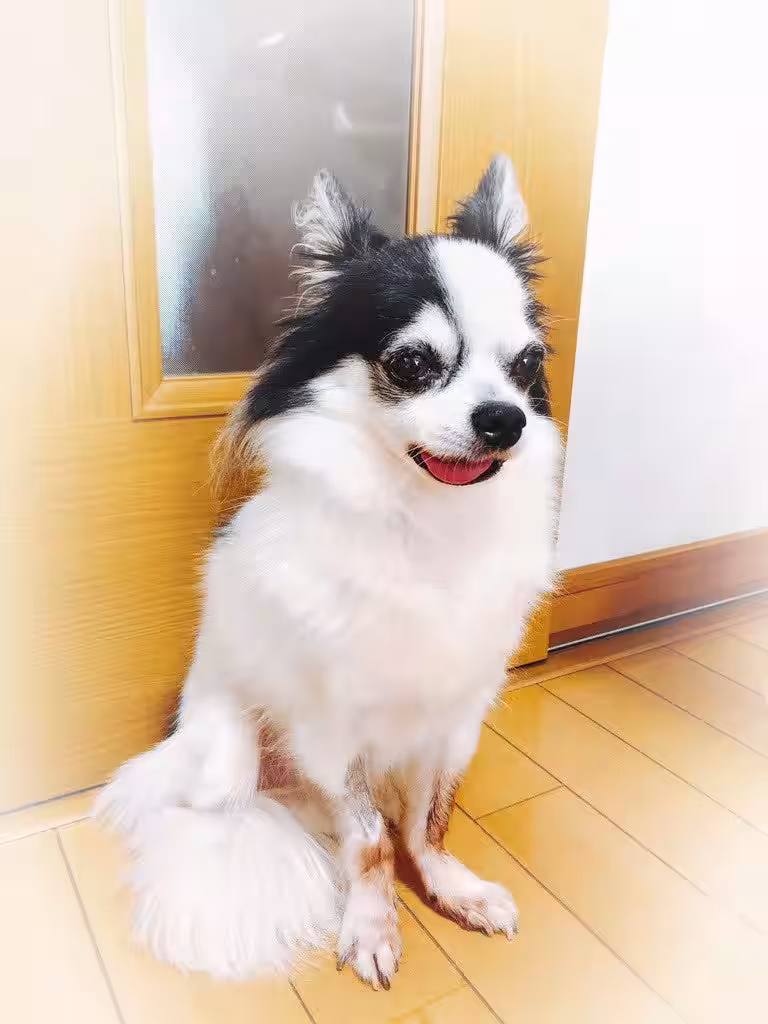 画像8