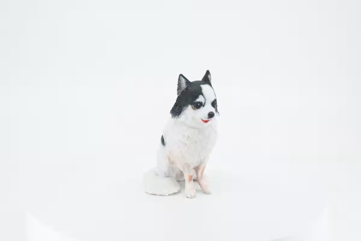 画像5
