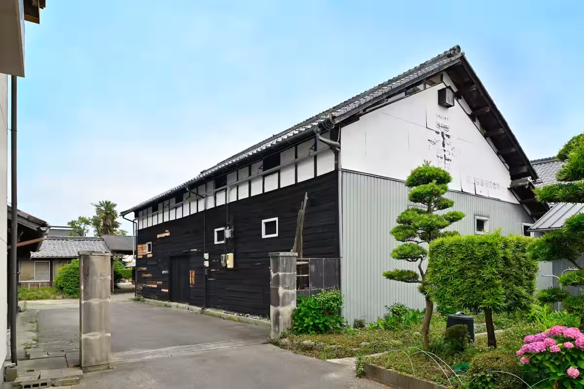 画像5