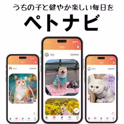 画像13