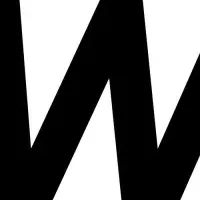 WSD JAPAN設立