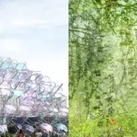 「ノモの国」の再生