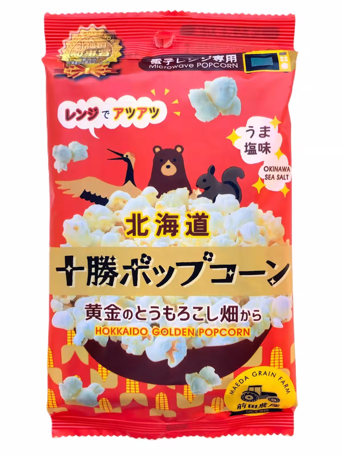 画像10