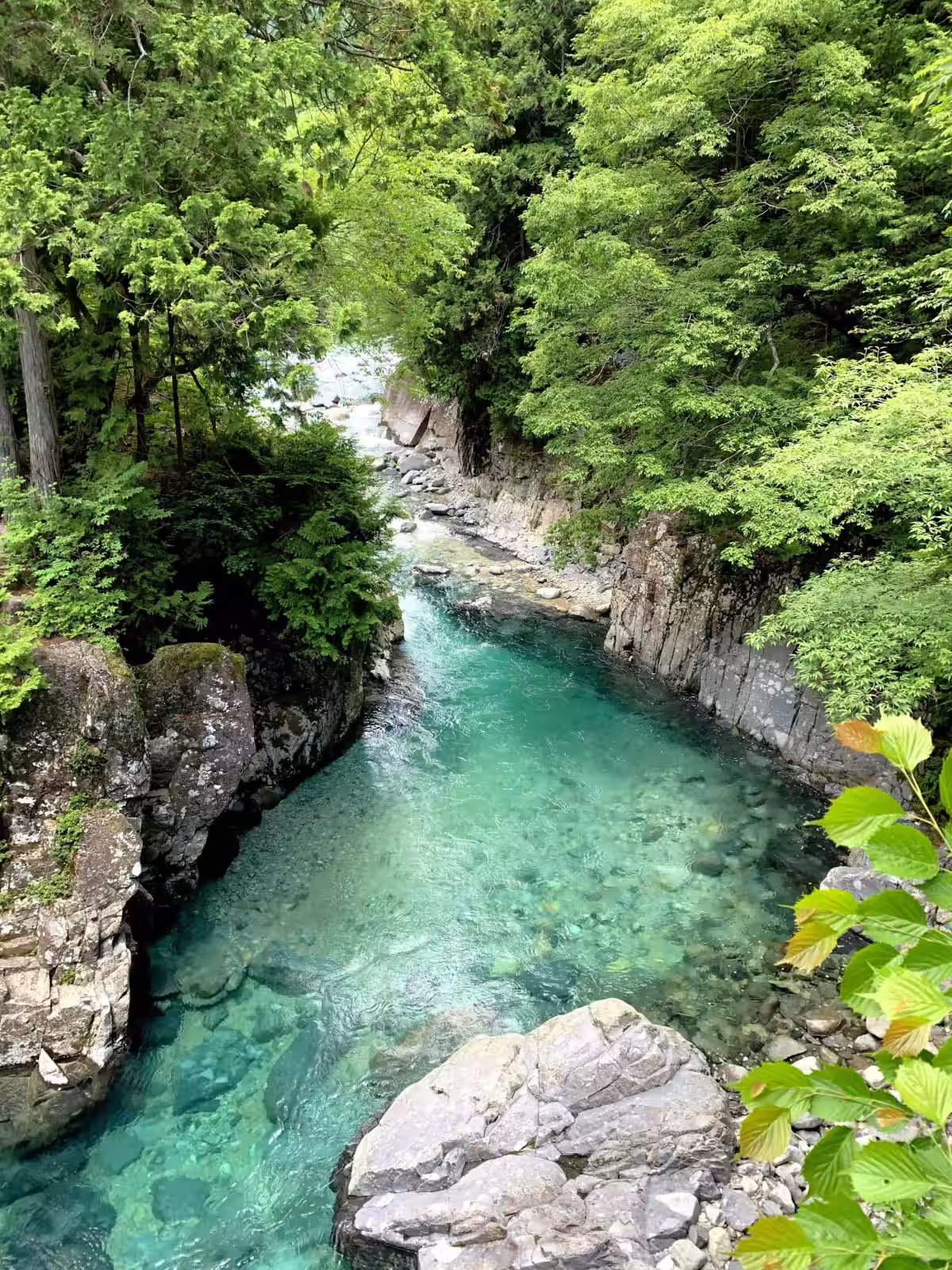 画像4