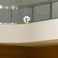 高校女子バレ大会