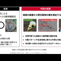 アニマルトラッキングAI