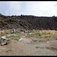 西之島の植物研究