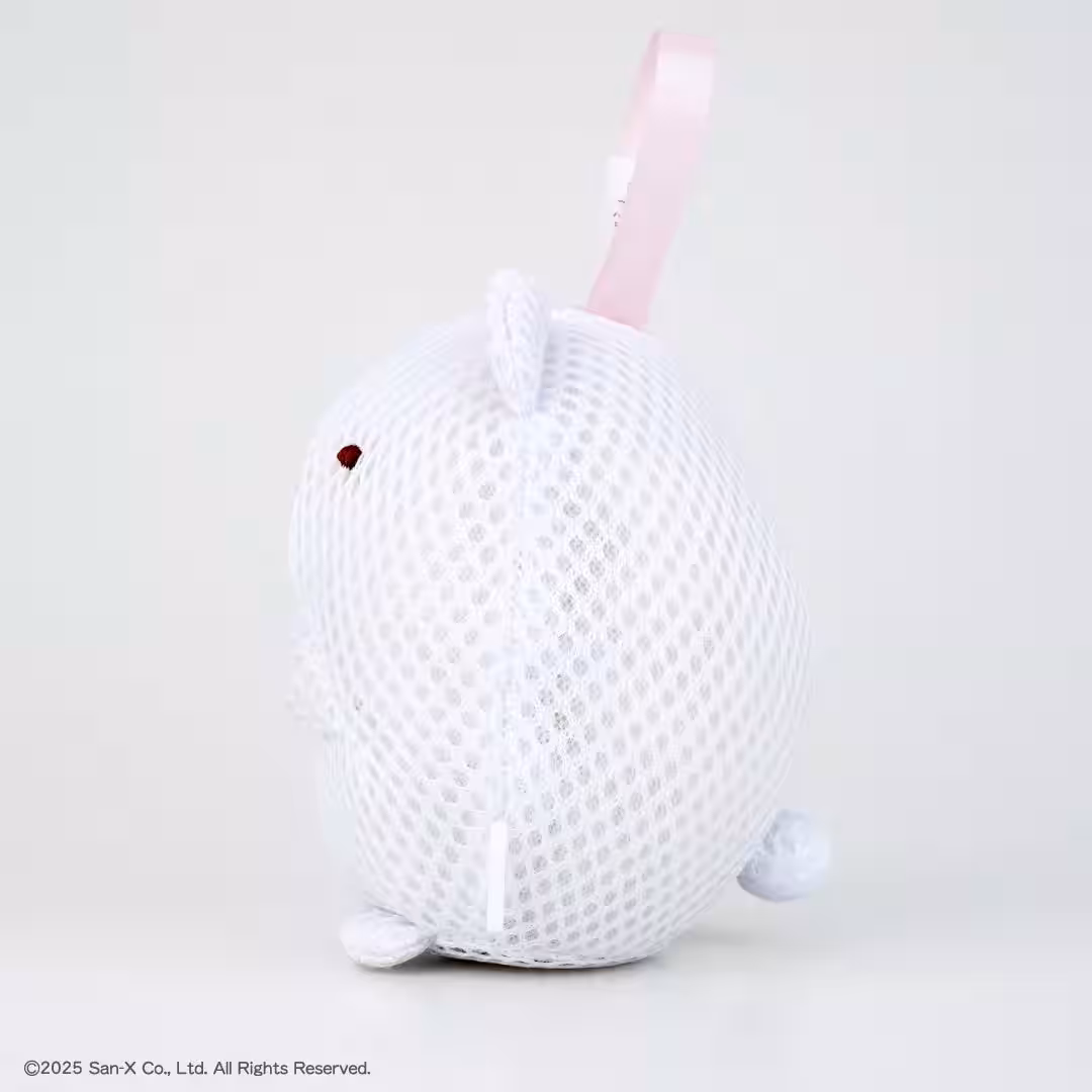 画像8