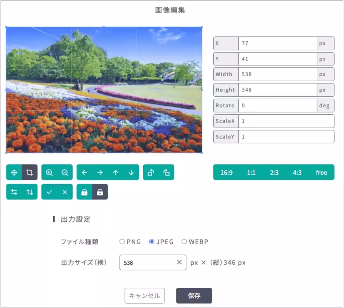 画像5