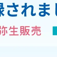 弥生製品とIT補助金