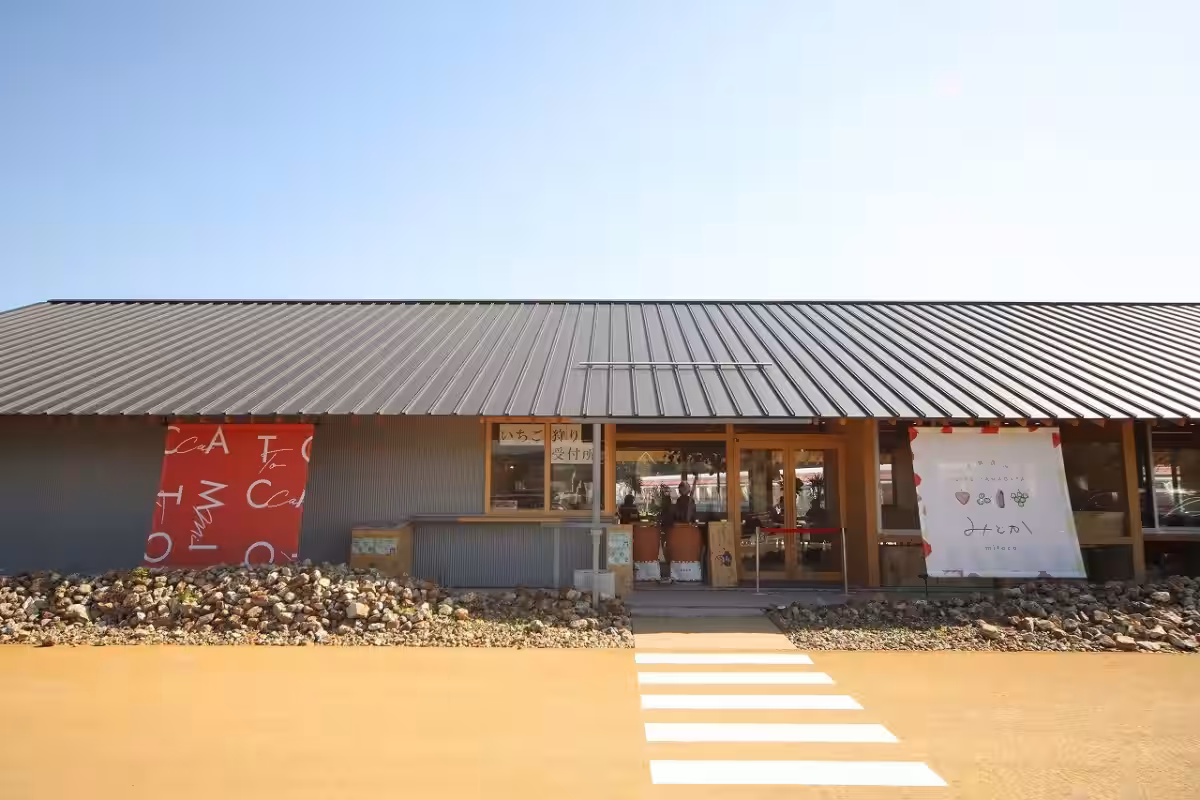 画像12