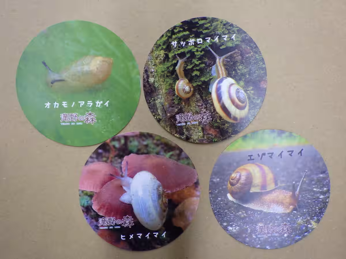 画像18