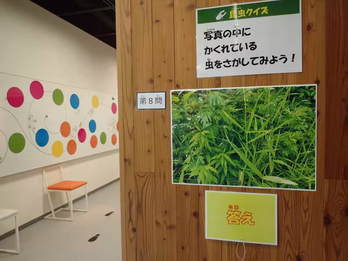画像7