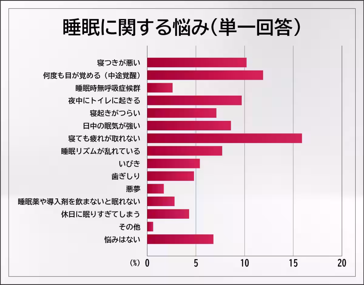 画像12